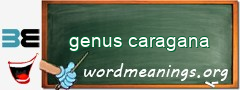 WordMeaning blackboard for genus caragana